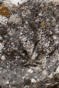 Airvault, fragment erratique d'architrave, détail de l'ornementation du gable avec une fleur de lys