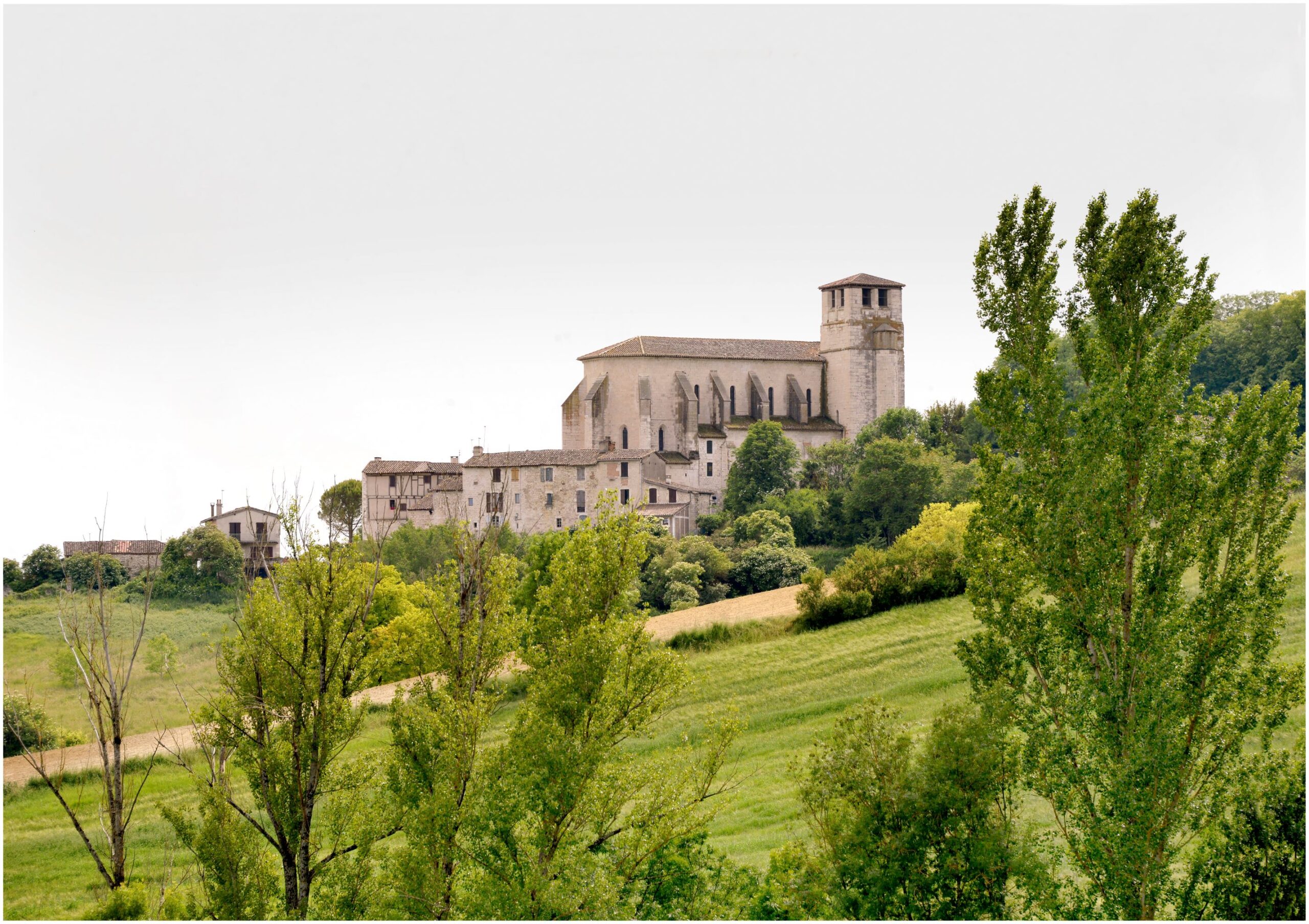 St Rais Montpezat-de-Quercy, collégiale Saint-Martin – ArmmA